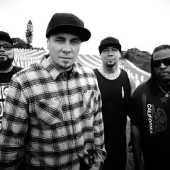 P.O.D.